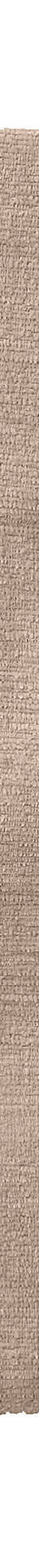 Rideau en fil effet chenille (taupe) Rideau en fil effet chenille (taupe)